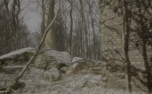 Разработчики «Sillent Hill от Кодзимы» опять интригуют фанатов. Профиль Abandoned для PlayStation 5 украсила женщина