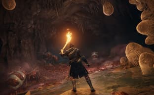 Участники сетевого теста Elden Ring видели чуть больше одной десятой от всей карты игры. Без учета подземелий