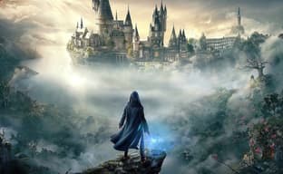 Hogwarts Legacy вдохновлена Ghost of Tsushima и The Last of Us 2? Неофициальная информация об игре