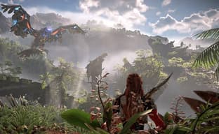 В раннем обзоре Horizon Forbidden West просочилась информация о секретной особенности игры