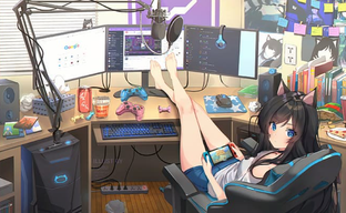 Девушки-геймеры в России выбирают гонки и разнообразные симуляторы