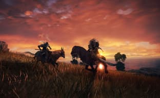 Создатели Elden Ring жалуются на сложные условия работы и низкую зарплату