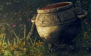 С последним обновлением Elden Ring в игре появился живой горшок, критикующий игрока за шершавую кожу