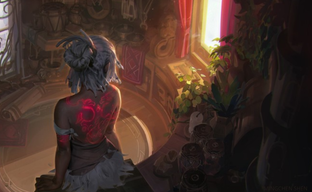 Square Enix банит игроков Final Fantasy 14 за «сексуальные аватарки»