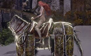 Моддер Elden Ring разблокировал новый транспорт