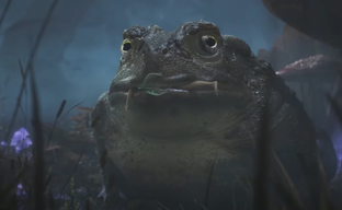 Продюсер Fable фактически признала производственный ад и считает такую разработку «нормой»