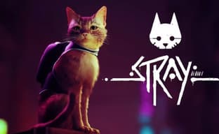 Стань котом в футуристическом городе. Приключение Stray выйдет в июле