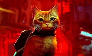 Кошачье киберпанковское приключение Stray будет непродолжительным