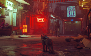 Получение Платинового трофея в Stray потребует влезть в азартную игру, проспать больше часа и много царапаться