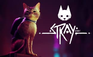 Stray на релизе получит объёмный патч первого дня со множественными улучшениями