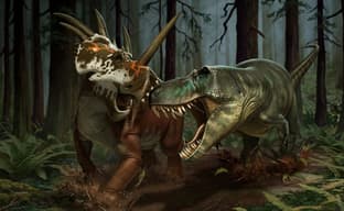 До конца июля на консолях выйдет выживач с динозаврами Path of Titans