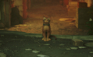 Если бы не котик… Обзор Stray