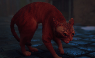 Физические издания Stray для PS5 поступят в Россию с РРЦ 4999 рублей