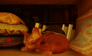 «Зоофилы, вы хуже тараканов» Хакерша Empress, ломающая Denuvo, вынесла приговор фанатам Stray и всей игровой индустрии