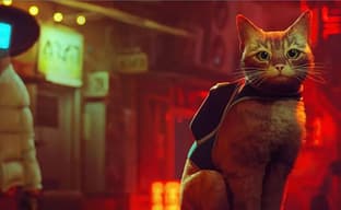 Издатель Stray организовал сбор средств для помощи бездомным животным