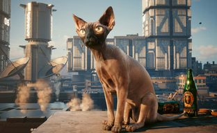 CD Projekt запустила конкурс для игроков Cyberpunk 2077: необходимо делать замуррчательные скриншоты котика