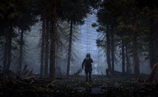 Появился список группировок и мутантов, которые якобы появятся в S.T.A.L.K.E.R. 2: Heart of Chornobyl