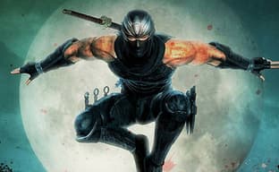 Создатели Ninja Gaiden могли бы поручить продолжение серии другой студии. Но есть нюанс