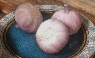 Разработчикам мода Skyrim с реалистичным чесноком пришлось упростить модели