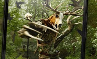 CD Projekt решила закрыть серверы «Ведьмака: Охотника на чудовищ»