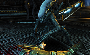 Классическую Aliens versus Predator раздают для Steam. Rebellion дарит ключ активации