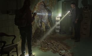 The Last of Us глазами эксперта по грибам. «Многие люди едят кордицепс каждый день»