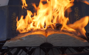 Блогер уничтожил коллекционку Hogwarts Legacy. Его поспешно записали в борцы с трансфобией