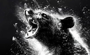 Кокаиновый медведь получил официальную игру. Необычное приключение по мотивам фильма, основанного на реальных событиях