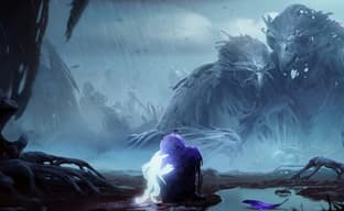 Авторы Ori обещают, что их новый проект произведет настоящую революцию в жанре RPG. Или студия канет в забвение