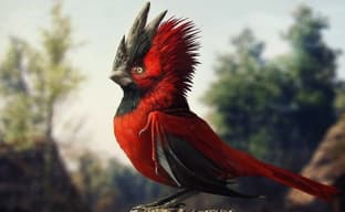 Менструальный отпуск в CD Projekt, невиданная доселе игра Valve — самое интересное за 30 марта