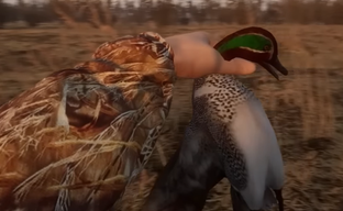 Якутские разработчики выпустили реалистичный симулятор охоты на уток с симуляцией жизни в духе S.T.A.L.K.E.R