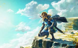 Двое мужчин устроились на работу в Amazon Japan, чтобы украсть копии новой Zelda