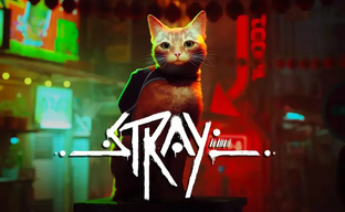 Главный хит PS Plus выйдет на устройстве Microsoft. Игра о котике в киберпанковском городе Stray появится на Xbox