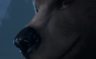 Создателей Baldur's Gate 3 забанили в TikTok за интимное видео с медведем, но вскоре сняли ограничения