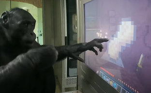 Блогер научил обезьяну играть в Minecraft. Похождения волосатого геймера в кубическом мире