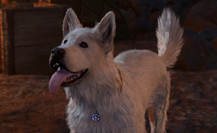 Игрок Baldur's Gate 3 развлекался с виртуальной собакой и разозлил настоящую, сидевшую рядом