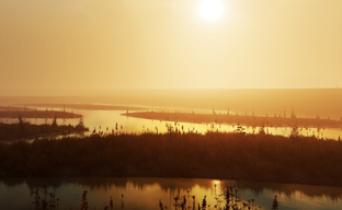 Ice-Pick Lodge прервала молчание и показала тизер Бакалавра для Pathologic 2