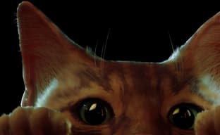 Annapurna работает над экранизацией Stray