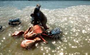 Skull Island: Rise of Kong создавалась всего год? У разработчиков было удивительно мало времени