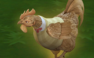 EA лишила геймера доступа к купленным играм из-за 4 букв. Грубая просьба замолчать обернулась проблемами