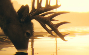 Зарабатывай, а не судись: Актёр RDR 2 посоветовал преступнику-джокеру заработать на трейлере GTA 6, а не связываться с юристами