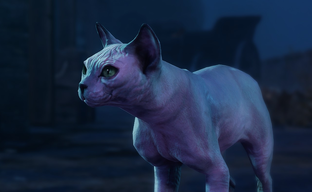 Найдена главная неудачница Baldur’s Gate 3. Стримерше выпало 4 критических провала подряд, шанс был 1 к 160 000