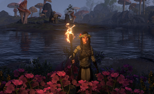 Юбилей The Elder Scrolls Online будут праздновать целый год в разных уголках мирах