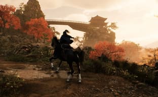 Стали известны некоторые детали Rise of the Ronin