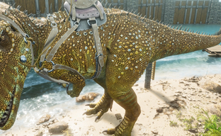 Серверы ARK Survival Ascended и прогресс игроков откатили на 8 часов из-за нового эксплойта