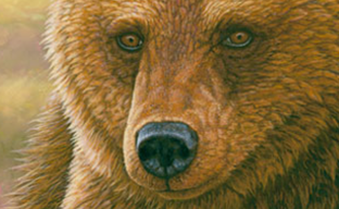 Россиянам в EGS две недели подряд будут раздавать ничего. В магазине ввели региональные ограничения на LOVE и не только