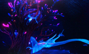 Subnautica 2 будет игрой-сервисом с кооперативом, создают на движке Unreal Engine 5