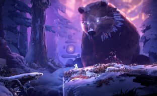 Игра в Ori через Game Pass не приносит пользы разработчикам