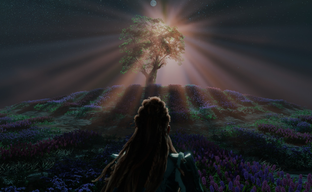 Слух: NVIDIA сокращает поставки RTX 40, очищая место перед запуском RTX 50