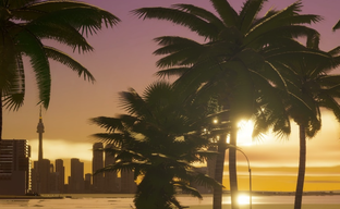 DLC для Cities Skylines 2 получило рекордно низкий рейтинг в Steam. Позорное достижение Paradox Interactive